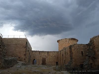 RATICOS INOLVIDABLES: Ex libris... 