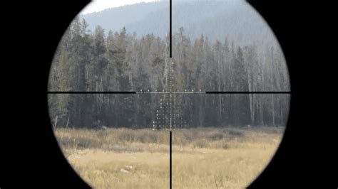 The Best Rimfire Scope For 22lr In 2023 Scopes Field