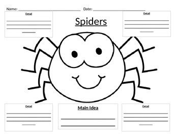 Spider Web Graphic Organizer