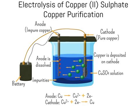 Practical Electrolysis Of Copper Sulphate Solution Edexcel Gcse