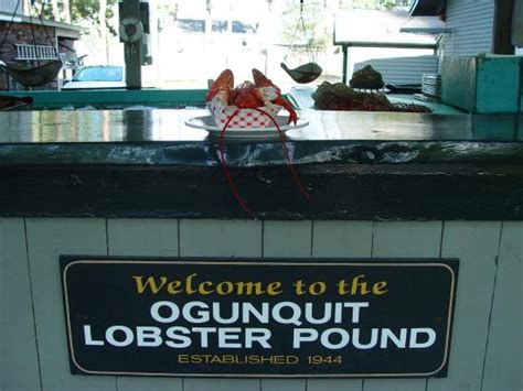 OGUNQUIT LOBSTER POUND RESTAURANT - Menu, Prices & Restaurant Reviews ...