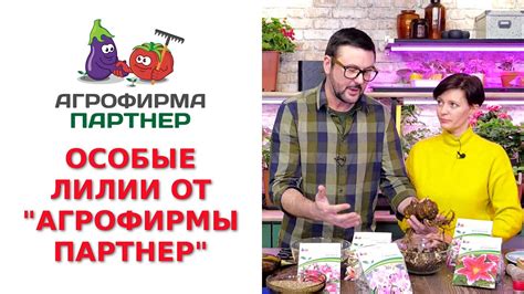 ОСОБЫЕ ЛИЛИИ ОТ "АГРОФИРМЫ ПАРТНЕР" - YouTube