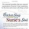 Chicken Soup For The Nurse S Soul Stories To Celebrate Honor And