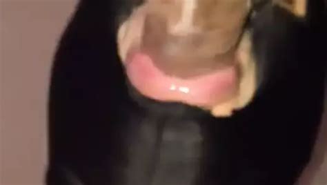 Free Sucking Married Cock Gay Porn Videos XHamster