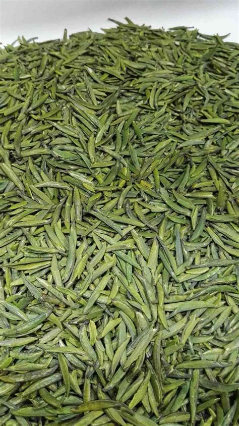 Сычуань | Школа чайных традиций Китая «Чачжидао»