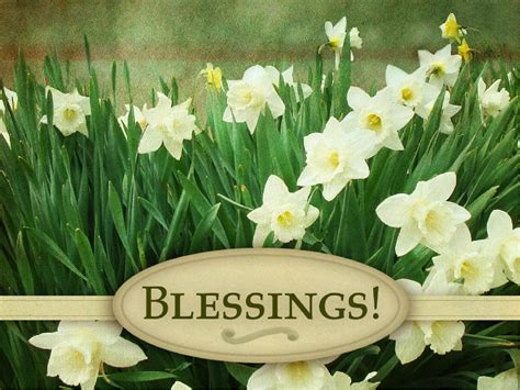 blessings sharefaith media
