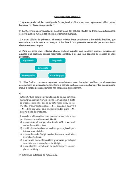 Questões Sobre Organelas Celulares - Questões sobre organelas celulares | PDF