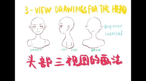 漫画风人物头部三视图的画法 how to draw heads from different angles in manga style