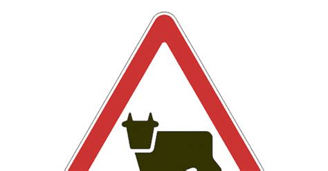 Перегон "скота" | Пикабу