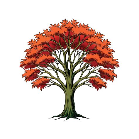 Distinct American Beech Tree Outline Art 57696064 Vector Art at Vecteezy