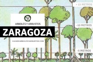 Gu A De Rboles Y Arbustos De Los Bosques Comestibles Arboles Y