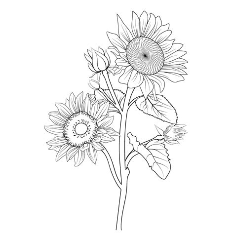 Vintage Sunflowers Clip Art Library