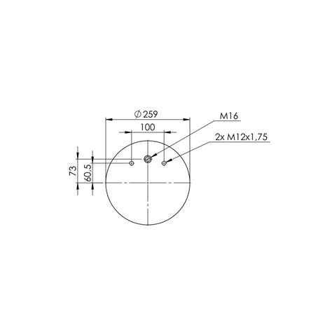 Luftfeder F R Renault Midlum Dxi Hinterachse Np