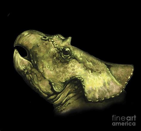 Breviceratops Pictures And Facts The Dinosaur Database