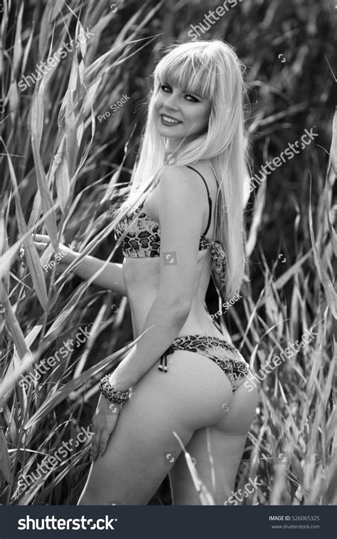 Sexy Blonde Long Hair Slim Figure Foto De Stock 526065325 Shutterstock