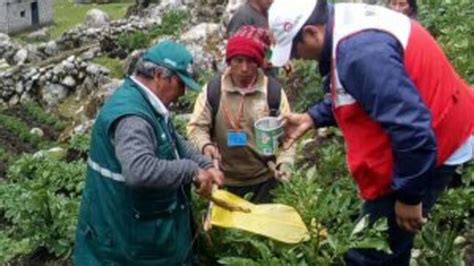 Jun N Escuelas De Campo Promueven Las Buenas Pr Cticas Agr Colas En