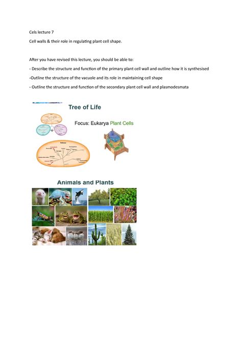 Cels lecture 7 - Cell and Molecular Biology - University of Otago - Studocu