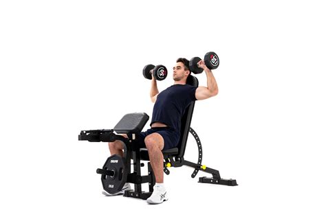 8 Best Bicep Workouts for Beginners – Evolpow Fitness