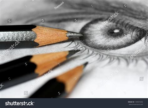 99,681 Graphite drawing Images, Stock Photos & Vectors | Shutterstock