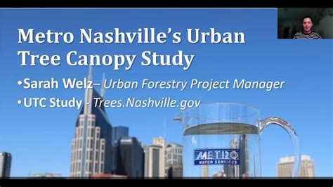 Nashville S Urban Tree Canopy Assessment Youtube