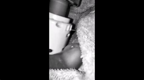 LOVE MAGIC WAND CHARGE Pornhub Gay