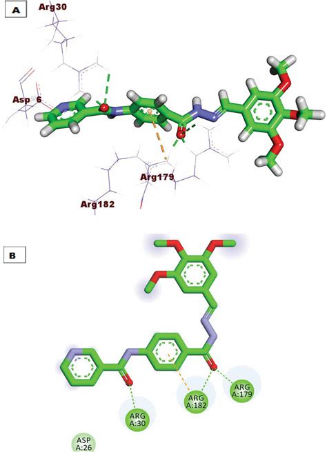 A D Binding Mode Of Compound Against Il Protein B D Binding