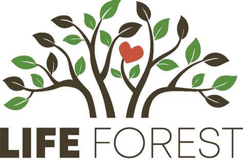 Environmentally Friendly Forest Burials | Life Forest