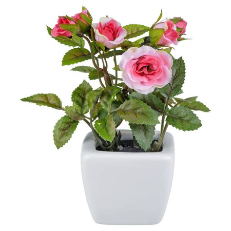 Мини розы в кашпо PH-37316 - купить с доставкой по выгодным ценам в ...