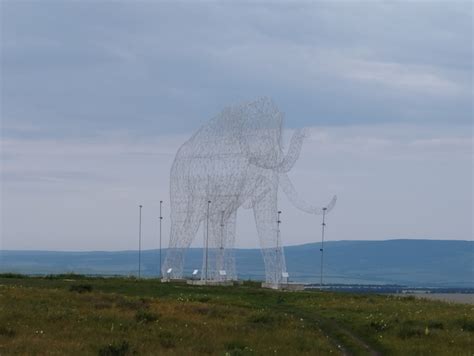 Ставропольский Слон | Пикабу