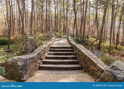 Sunny View Of The Japanese Garden In Garvan Woodland Gardens Stock