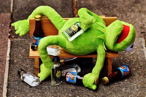 Memes De Kermit