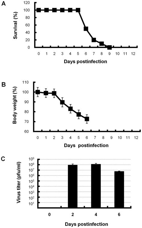 Survival Rate Body Weight And Viral Titers In Lungs Of PR8 Infected