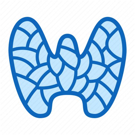 Anatomy Gland Organ Thyroid Icon Download On Iconfinder
