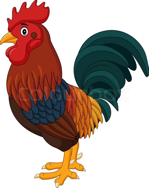 Vector Illustration Of Cartoon Rooster Stock Vector Colourbox