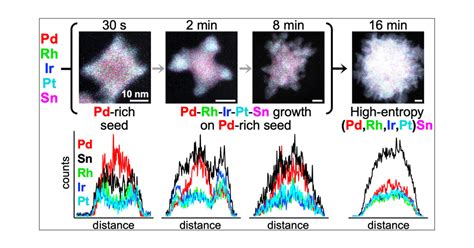 Temporal Evolution Of Morphology Composition And Structure In The