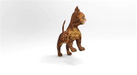 Cute cat rigged 3D model - TurboSquid 1160026