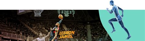 Download Transparent Lebron James Monster Dunk Posterize Olympics 24x18 ...