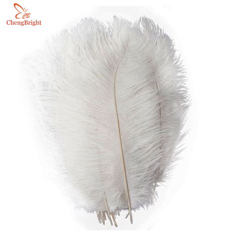 Plume De Decoration C Plumes Autruche Naturelles Pi Ces