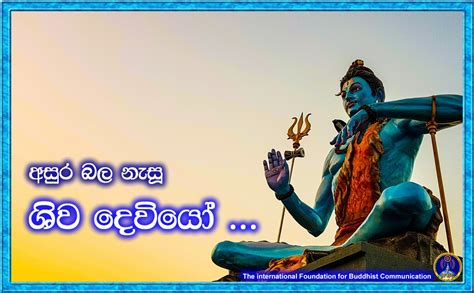 ifbc organization dhamma