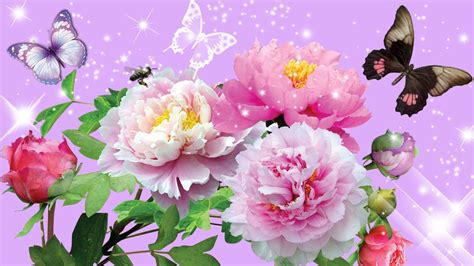 Immagini Belle Di Fiori 47 Foto Sfondi Hd