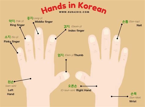 Fingers In Korean Language at Zac Belmore blog