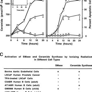 Effects Of Cycloheximide Or Fb On I Durd Induced Cs Activation