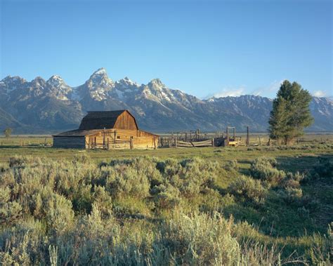 tetons june   sacred path