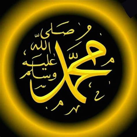 likes  comments abla khalil atablakhalil  instagram muslim