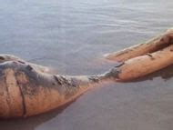 Naked Pilar Velázquez in Fury