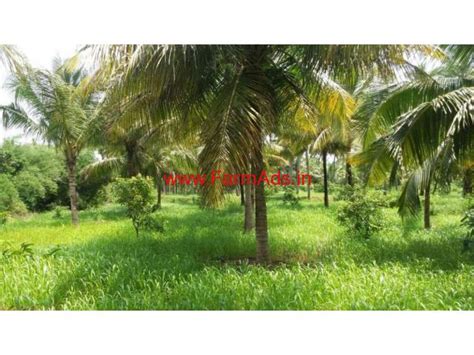 10 Acre Coconut Farm For Sale On At Govindapuram Chittur Palakkad