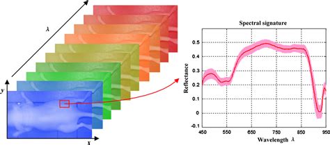 The Data Structure Of A Hypercube Of Hyperspectral Imaging Hsi The Download Scientific