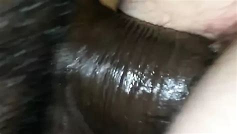 Chem Fucked Gay Anal Anal Porn Xhamster