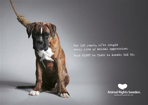 animal rights organisation