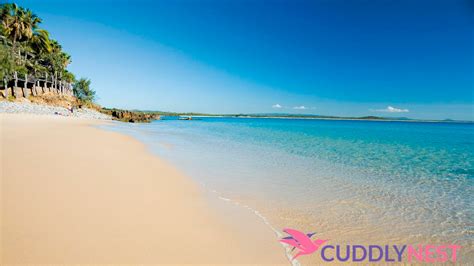 noosa australia cuddlynest travel blog